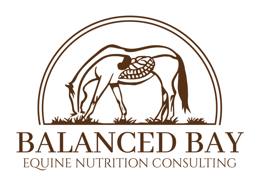 What is a Balanced Diet? - Balanced Bay Nutrition