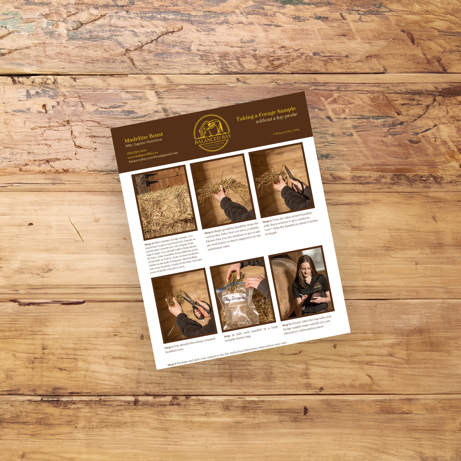 Taking a Hay Sample Without a Hay Probe - Balanced Bay Nutrition