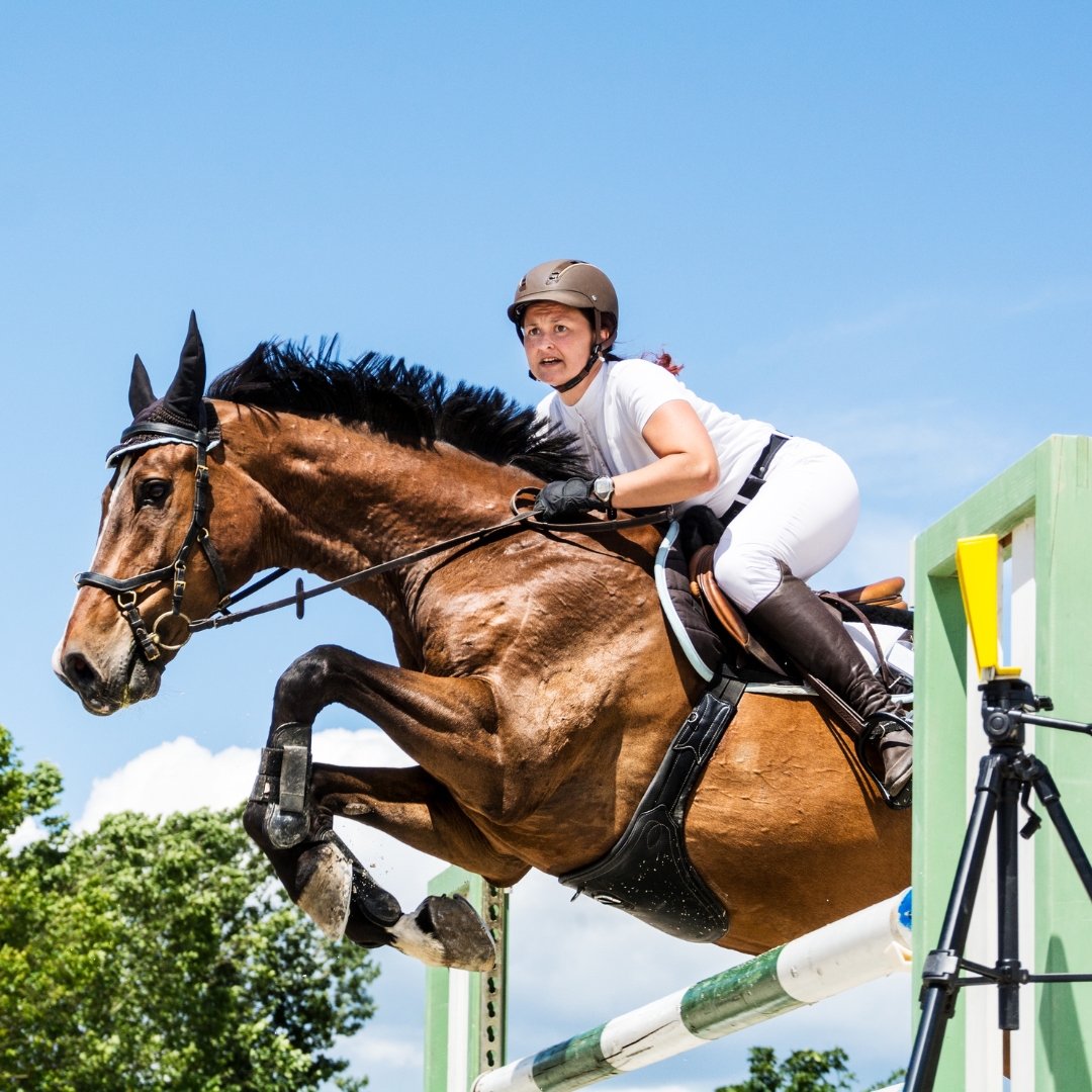 ingredients-in-joint-supplements