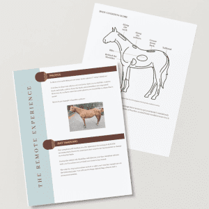 Data Collection Guide