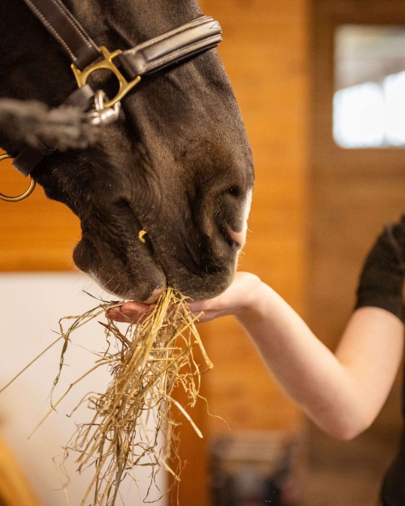 hay transitions