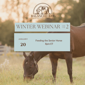 Feeding the Senior Horse Webinar - January 20th, 2026