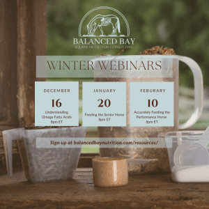 Winter Webinar Series - 2025/26