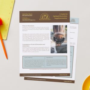 Equine Electrolyte Guide