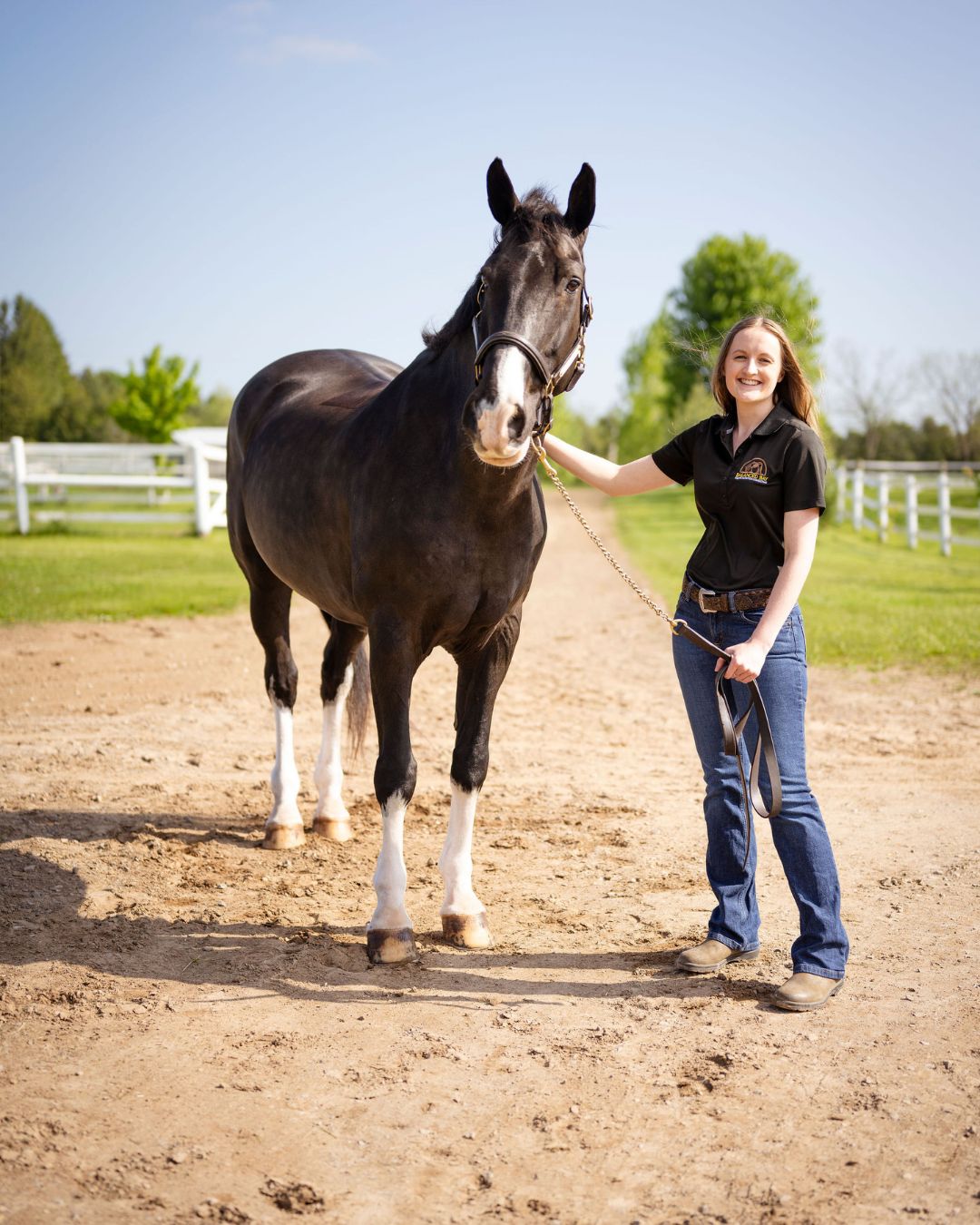 nutritional considerations for travelling with horses