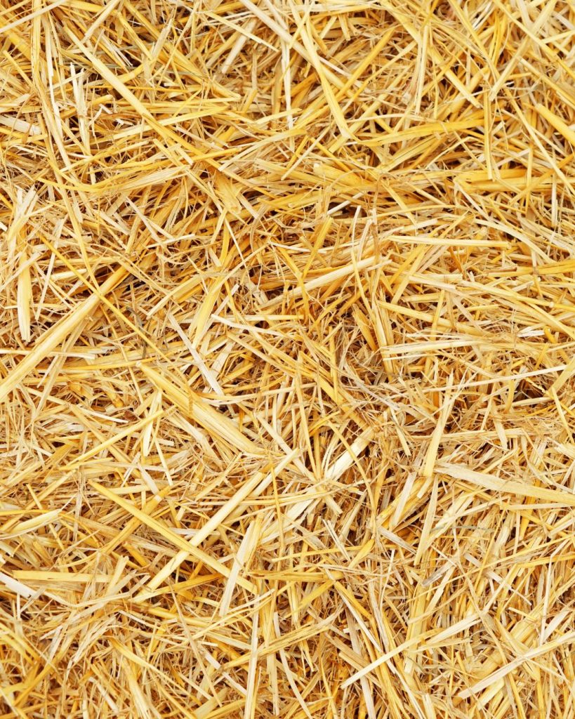 straw for easy keepers